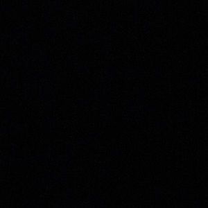 Meet your Posher, Perla